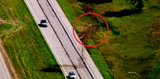 Investigan un accidente fatal que involucró a un autobús escolar en el sur de Minnesota Investigan un accidente fatal que involucró a un autobús escolar en el sur de Minnesota