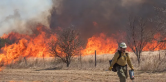 Tratan de controlar dos incendios forestales en el condado de Wise y uno en Denton Tratan de controlar dos incendios forestales en el condado de Wise y uno en Denton
