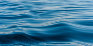 Una adolescente murió el fin de semana mientras nadaba en un lago al norte de Bemidji Una adolescente murió el fin de semana mientras nadaba en un lago al norte de Bemidji