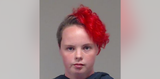 Habría matado a 12 caballos y 24 perros en Westminster: fue arrestada Habría matado a 12 caballos y 24 perros en Westminster: fue arrestada