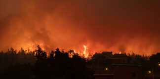 Fuertes vientos dificultan combate a incendios en Grecia e Islas Canarias