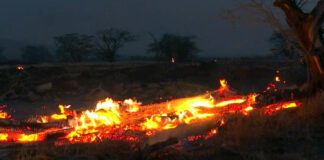 Suben a 55 los muertos por los fuertes incendios en Hawaii Suben a 55 los muertos por los fuertes incendios en Hawaii