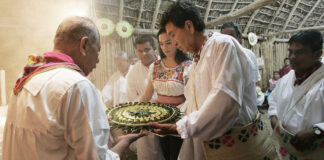 En México, curanderos y chamanes ya deben expedir facturas En México, curanderos y chamanes ya deben expedir facturas