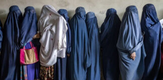 Talibanes despiden mujeres que no usen el velo en oficinas de gobierno Talibanes despiden mujeres que no usen el velo en oficinas de gobierno