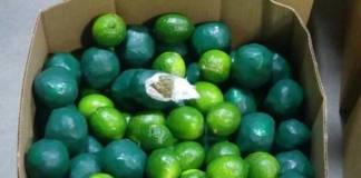 Dentro de limas iban ocultos 8 millones de dólares en cocaína y metanfetamina Dentro de limas iban ocultos 8 millones de dólares en cocaína y metanfetamina