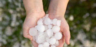 Las fuertes lluvias, el granizo y las ráfagas de viento causaron daños en el norte de Texas Las fuertes lluvias, el granizo y las ráfagas de viento causaron daños en el norte de Texas
