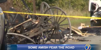 Dos personas murieron tras accidente que involucró a un vehículo y un buggy Amish Dos personas murieron tras accidente que involucró a un vehículo y un buggy Amish