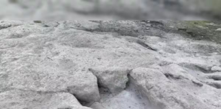 Encuentran huellas de dinosaurio en el lecho de un río seco en Glen Rose, cerca de Dallas Encuentran huellas de dinosaurio en el lecho de un río seco en Glen Rose, cerca de Dallas
