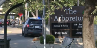 Dos personas murieron tras un tiroteo en un centro comercial cerca de Austin Dos personas murieron tras un tiroteo en un centro comercial cerca de Austin