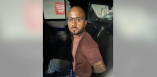 Lo arrestan después de que su perro suelto mutilara a un hombre de 68 años Lo arrestan después de que su perro suelto mutilara a un hombre de 68 años