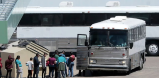 Según la autopsia, la niña de 3 años que iba en un autobús lleno de inmigrantes murió por neumonía Según la autopsia, la niña de 3 años que iba en un autobús lleno de inmigrantes murió por neumonía