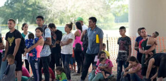 Nueva ley de Florida pone en riesgo a quien transporte indocumentados Nueva ley de Florida pone en riesgo a quien lleve en su auto a indocumentados