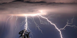 Caen 61 mil rayos en dos horas en India; reportan  muertos y heridos Caen 61 mil rayos en dos horas en India; reportan muertos y heridos