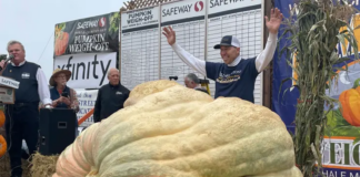 Calabaza gigante: un hombre Anoka ha establecido un nuevo récord mundial Calabaza gigante: un hombre Anoka ha establecido un nuevo récord mundial