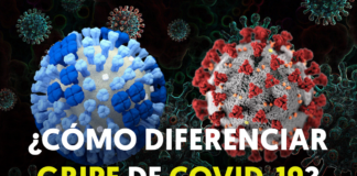Comienza la temporada de gripe: ¿cómo diferenciarlo del Covid? Comienza la temporada de gripe: ¿cómo diferenciarlo del Covid?