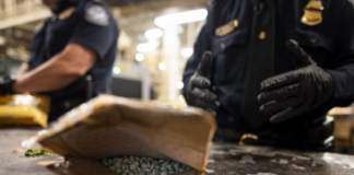 Tiene 18 años y es de origen latino: puede pasar hasta 40 años de prisión por vender fentanilo Tiene 18 años y es de origen latino: puede pasar hasta 40 años de prisión por vender fentanilo