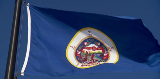 Si tiene diseños para la próxima bandera y sello de Minnesota, ¡preséntelas! Si tiene diseños para la próxima bandera y sello de Minnesota, ¡preséntelas!