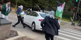 Un automóvil quiso atropellar a manifestantes que apoyaban a Palestina en Minneapolis Un automóvil quiso atropellar a manifestantes que apoyaban a Palestina en Minneapolis