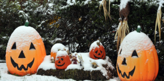 ¿Cómo te sentirás con un Halloween con no más de 35 grados? ¿Cómo te sentirás con un Halloween con no más de 35 grados?