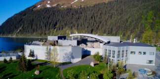 Una cría de nutria marina, huérfana después de que una orca mató a su madre, está en el Zoo de Minnesota Una cría de nutria marina, que quedó huérfana después de que una orca mató a su madre en Alaska