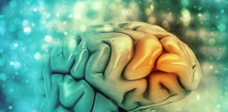 Médicos de San Antonio buscan lesiones cerebrales mediante la respiración Médicos de San Antonio buscan lesiones cerebrales mediante la respiración