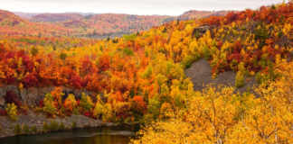 Esta semana, clave para salir y disfrutar de los colores del otoño Esta semana, clave para salir y disfrutar de los colores del otoño