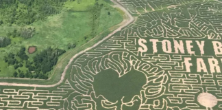 ¿Cómo es uno de los laberintos de maíz más grandes del mundo que está en Minnesota? ¿Cómo es uno de los laberintos de maíz más grandes del mundo que está en Minnesota?