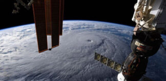 Demostrarán que la reproducción humana en el espacio es posible Demostrarán que la reproducción humana en el espacio es posible