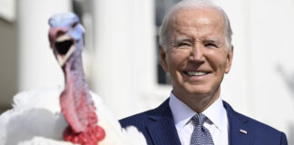 Biden indulta en su cumpleaños a dos pavos de Acción de Gracias Biden celebra su cumpleaños indultando a dos pavos de Acción de Gracias