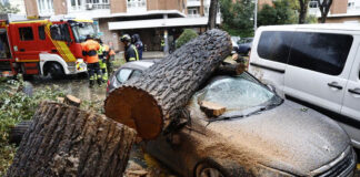 11 muertos y daños millonarios por Tormenta Ciarán en Europa 11 muertos y daños millonarios por Tormenta Ciarán en Europa