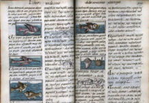 Digitalizan el Códice Florentino, el manuscrito más antiguo de México Digitalizan el Códice Florentino, el registro precolonial más antiguo de México
