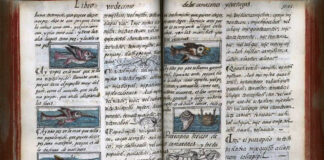 Digitalizan el Códice Florentino, el manuscrito más antiguo de México Digitalizan el Códice Florentino, el registro precolonial más antiguo de México