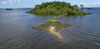 Estafador compra isla privada con fondos humanitarios para Covid-19 Estafador compra isla privada con fondos humanitarios para Covid-19
