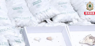 Hong Kong incauta 1100 kilos de metanfetamina; venía de México Hong Kong incauta 1100 kilos de metanfetamina procedente de México