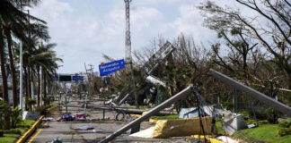Huracanes reducen la capacidad de eliminar el CO2 de la atmósfera Huracanes reducen la capacidad de eliminar el CO2 de la atmósfera