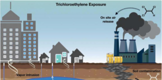La Agencia de Protección Ambiental quiere prohibir el químico TCE, como Minnesota ya hizo La Agencia de Protección Ambiental quiere prohibir el químico TCE, como Minnesota ya hizo