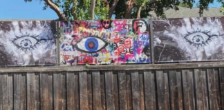 Polémica en Dallas: instala murales intimidatorios para que no le poden los árboles Polémica en Dallas: instala murales intimidatorios para que no le poden los árboles