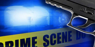 Una persona murió tras un tiroteo en Minneapolis, en las avenidas Glenwood y Newton Una persona murió tras un tiroteo en Minneapolis, en las avenidas Glenwood y Newton