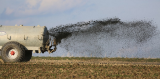 El mal olor de estos días, culpa del estiércol usado para fertilizar en el suroeste El mal olor de estos días, culpa del estiércol usado para fertilizar en el suroeste
