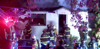 Un hombre y dos mascotas mueren en un incendio en Columbia Heights Un hombre y dos mascotas mueren en un incendio en Columbia Heights