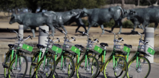 La ciudad de Dallas trabaja en un plan que la haría más segura para los ciclistas La ciudad de Dallas trabaja en un plan que la haría más segura para los ciclistas