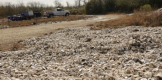 Por segundo año consecutivo, cae la población de ostras en Texas Por segundo año consecutivo, cae la población de ostras en Texas