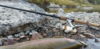 Al menos 148 lagos, ríos y arroyos en Minnesota tienen peces contaminados con PFAS Al menos 148 lagos, ríos y arroyos en Minnesota tienen peces contaminados con PFAS