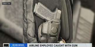 Detienen a un empleado de una aerolínea en MSP: intentó pasar por el control una pistola cargada Detienen a un empleado de una aerolínea en MSP: intentó pasar por el control una pistola cargada