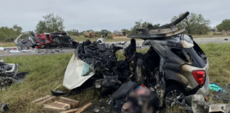 Ocho personas murieron tras accidente de camioneta llena de inmigrantes ilegales Ocho personas murieron tras accidente de camioneta llena de inmigrantes ilegales