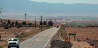 Ordenan trabajar a agricultores junto a cadáver de compañera atropellada Ordenan trabajar a agricultores junto a cadáver de compañera atropellada