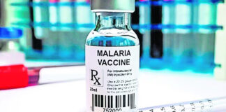La OMS aprueba una segunda vacuna contra la malaria La OMS aprueba una segunda vacuna contra la malaria