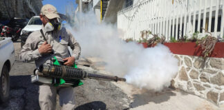 Se disparan casos de dengue en Guerrero; hay 529 confirmados Se disparan casos de dengue en Guerrero; hay 529 confirmados