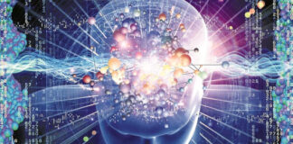 Científicos internacionales crean el primer Atlas del cerebro humano Científicos internacionales crean el primer Atlas del cerebro humano