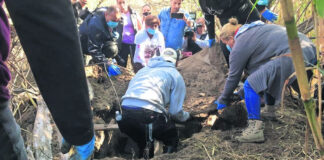 Al alza, la desaparición y el narcomenudeo en México Al alza, la desaparición y el narcomenudeo en México